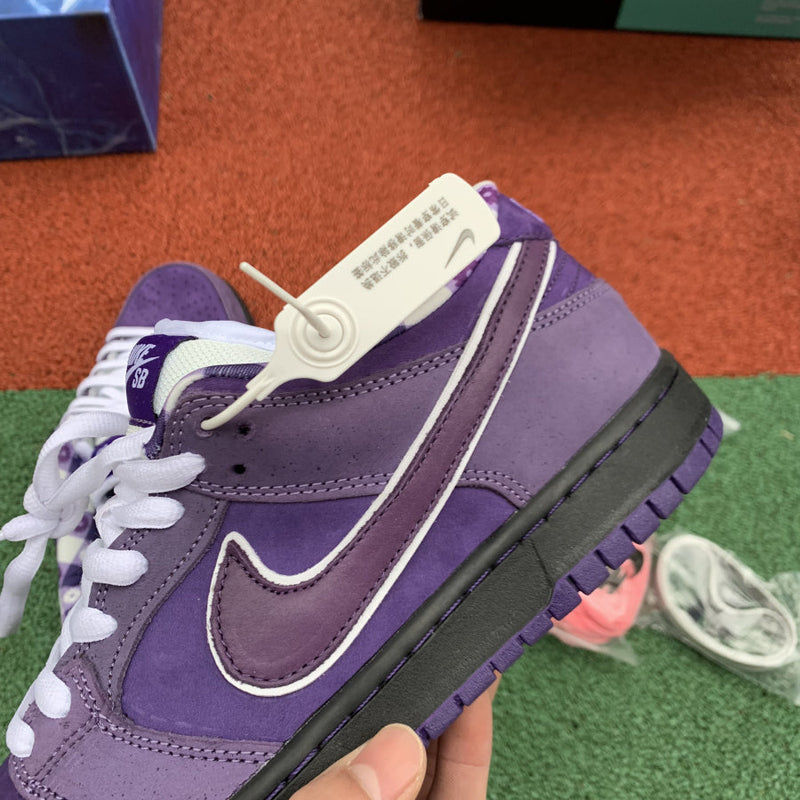 Nike SB Dunk Low Concepts Purple Lobster